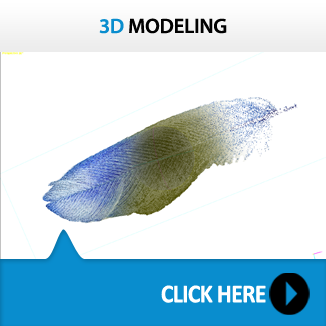 3D MODELING