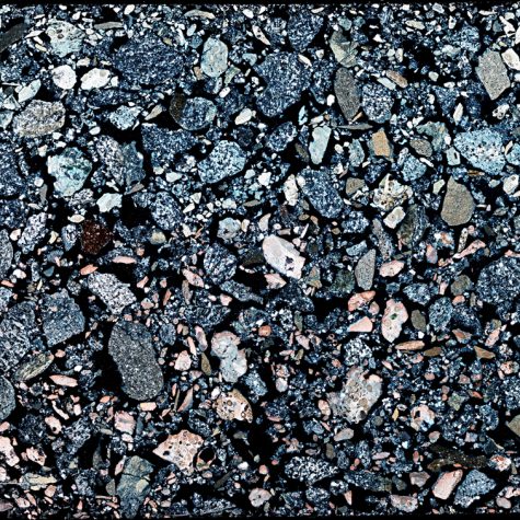 Macropod Petrographic