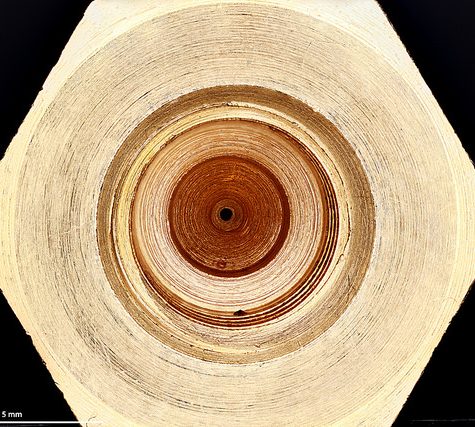 3D Printer Nozzle from Makergear M2 Scale Bar