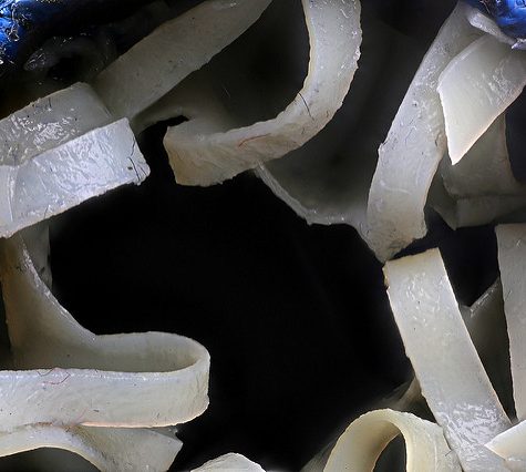 Artificial Heart Valve