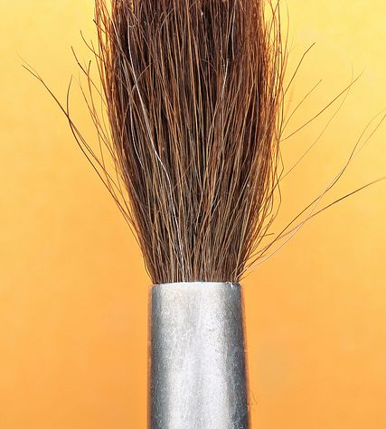 Paintbrush