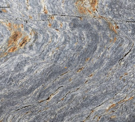 Chocolate Structures in Graptolite