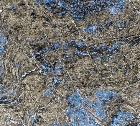 Chocolate Structures in Graptolite