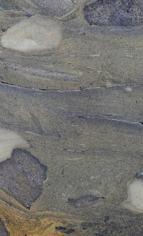 Chocolate Structures in Graptolite