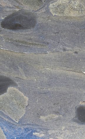 Chocolate Structures in Graptolite