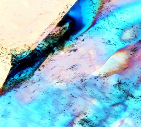 Gold and Silver in Thin Section