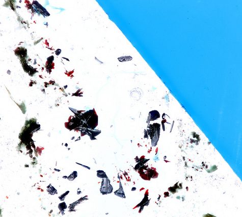 Gold and Silver in Thin Section