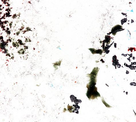 Gold and Silver in Thin Section