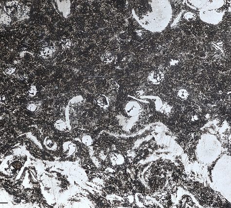 Gold and Silver in Thin Section