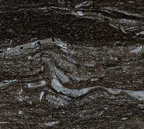 Gold and Silver in Thin Section