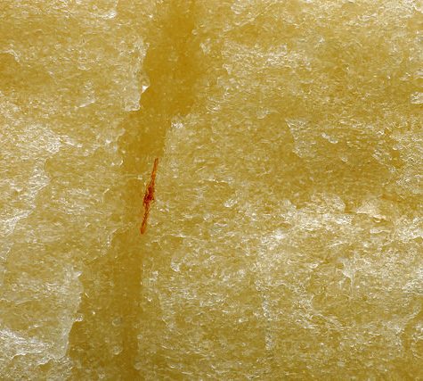 Potassium bitartrate, Cream of Tartar buildup on Wine Cork after bottling.  Otherwise called Wine Diamonds.