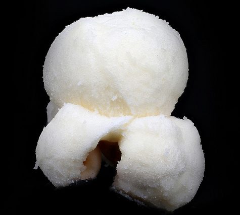 Potassium bitartrate, Cream of Tartar buildup on Wine Cork after bottling.  Otherwise called Wine Diamonds.