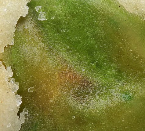 Potassium bitartrate, Cream of Tartar buildup on Wine Cork after bottling.  Otherwise called Wine Diamonds.