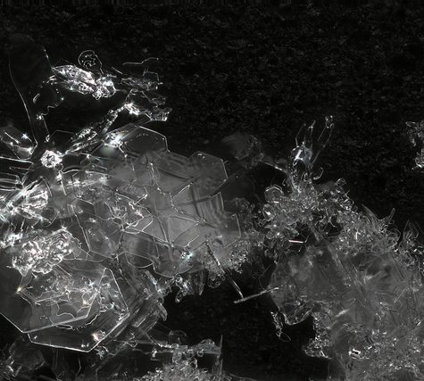 Snowflake from Coventry, CT