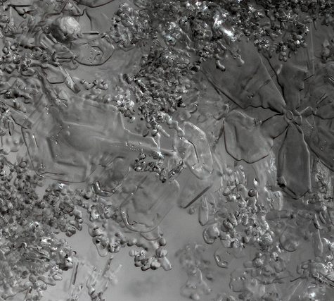 Snowflake from Coventry, CT