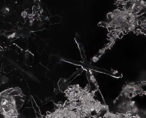 Snowflake from Coventry, CT