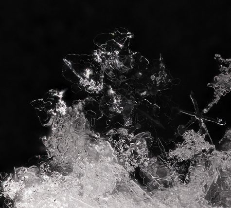 Snowflake from Coventry, CT