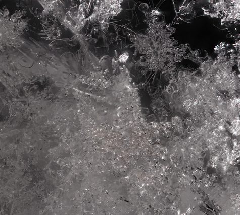 Snowflake from Coventry, CT