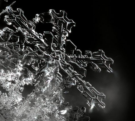 Snowflake from Coventry, CT