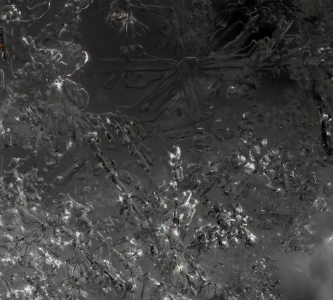 Snowflake from Coventry, CT