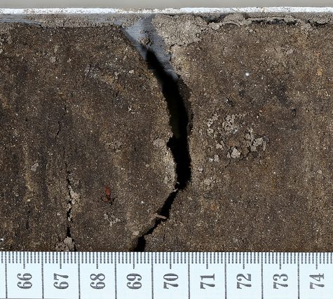 Soil and Root Sample
