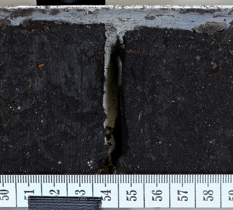 Soil and Root Sample