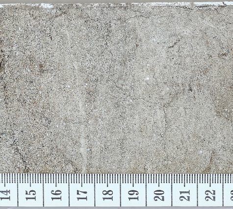 Soil and Root Sample