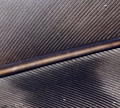 Hummingbird Tail feather Floating on water's surface at Sunset