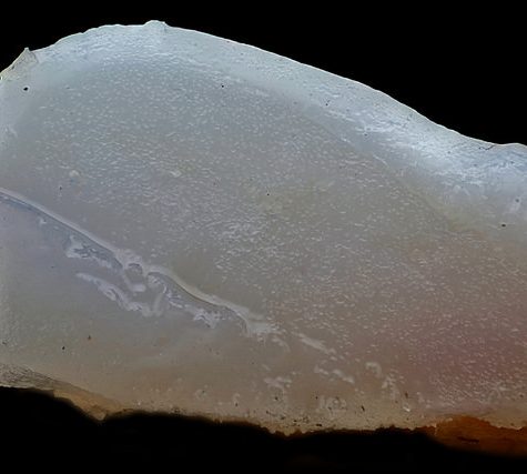 Hummingbird Tail feather Floating on water's surface at Sunset