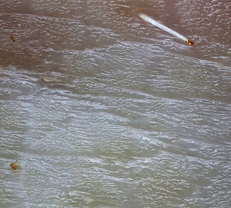 Mole, Glastonbury, CT Line St Oct 28, 2017