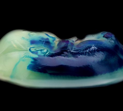 Mole, Glastonbury, CT Line St Oct 28, 2017