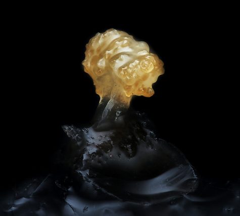 Tiny floating flowers: Vallisneria neotropicalis (Hydrocharitaceae)