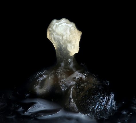 Tiny floating flowers: Vallisneria neotropicalis (Hydrocharitaceae)