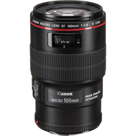 Canon EF Macro Lenses