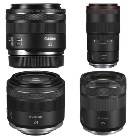 Canon RF Macro Lenses