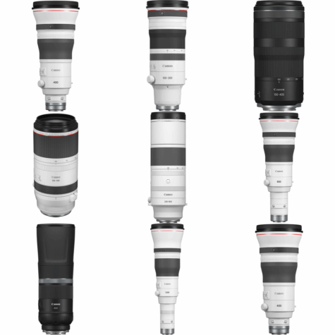 Canon RF Super Telephoto Lenses